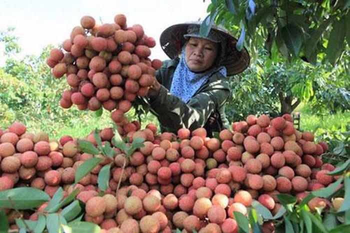 Thu thuế bán hàng trên sàn thương mại điện tử: Nhiều nội dung cần được làm rõ
